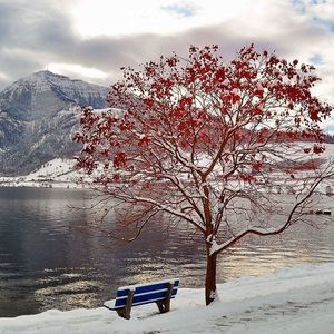 Meet your Posher, Pete